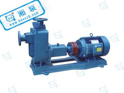 1615272551456007.jpg ZX型自吸泵.jpg